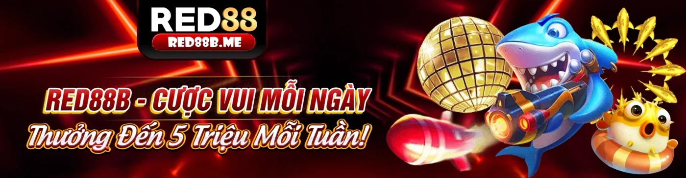 Đá Gà Trực Tuyến 8win55 Khuyến Mãi 2026